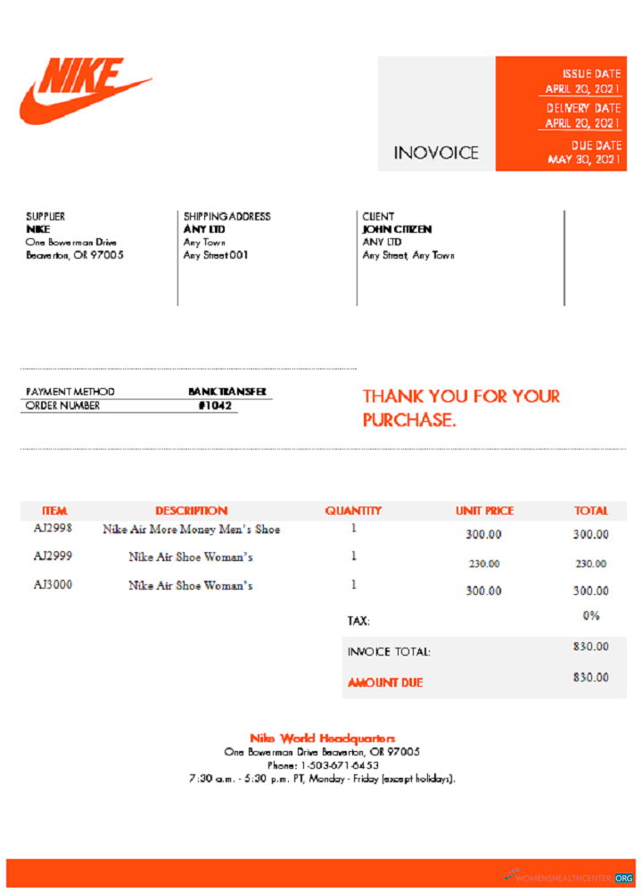 Download USA Nike invoice Photoshop template